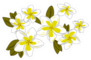 Plumeria Flowers Floral Tropical Set Sticker