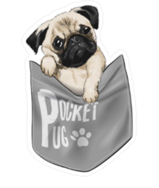 Pocket Pug Sticker