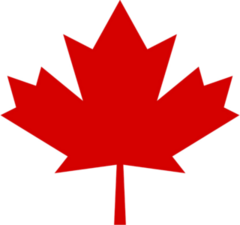 Pointy Canada Leaf Sticker