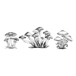 Poisonous Mushrooms Large Set Illustration Sticker