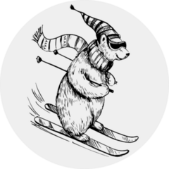 Polar Bear Skiing Hand Drawn Illustration Sticker