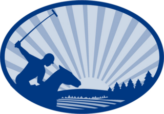 Polo Player Riding Horse Oval Sticker