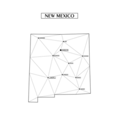 Polygonal Abstract Map New Mexico Sticker