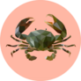 Polygonal Crab On Pink Sticker