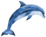 Polygonal Dolphin Jumping Sticker