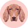 Polygonal Pink Vizsla Sticker