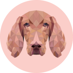 Polygonal Pink Vizsla Sticker