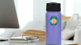 PomPom Cheerleading Sticker on a Water Bottle (New) example