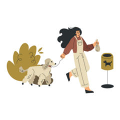 Poodle And Woman On Run Sticker