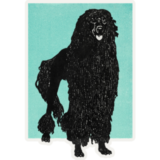 Poodle Art Sticker