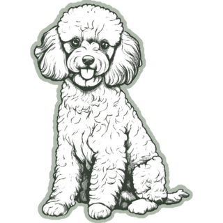 Poodle Dog On Green Sticker