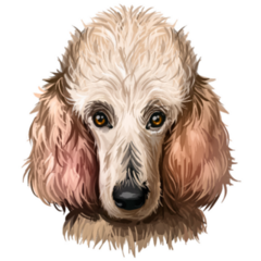 Poodle Dog Portrait Sticker