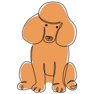 Poodle Drawing Sticker