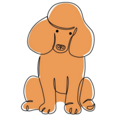 Poodle Drawing Sticker