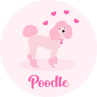  Poodle Light Pink Sticker
