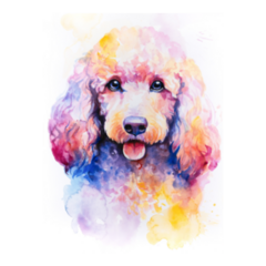 Poodle Panted In Watercolor Rainbow Sticker