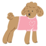 Poodle Pink Shirt Sticker