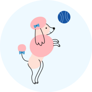 Poodle Playing Ball Sticker