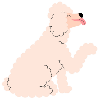 Poodle Shaking Sticker