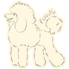 Poodle Sketch Sticker