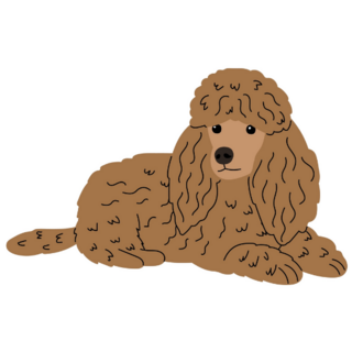Poodle Sketch Sticker