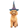 Poodle Witch Sticker