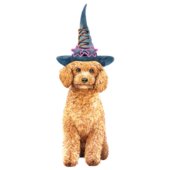 Poodle Witch Sticker