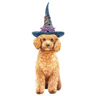 Poodle Witch Sticker