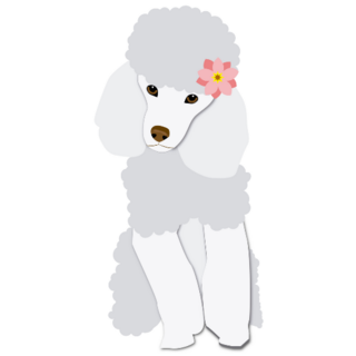 Poodle With Flower Sticker