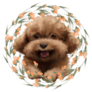 Poodle Wreath Sticker