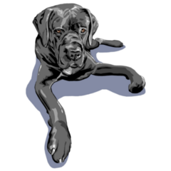 Pop Art Cane Corso Sticker