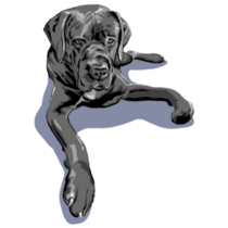 Pop Art Cane Corso Sticker