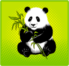 Pop Art Panda Bear With Bamboo Sticker