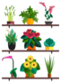 Popular house plant on shelves Sticker