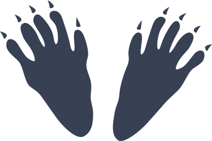 Porcupine Prints Sticker