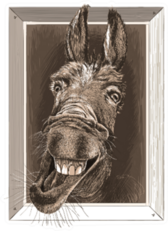 Portrait-cartoon Of Crazy Donkey In A Wooden Frame Sticker