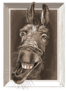 Portrait-cartoon Of Crazy Donkey In A Wooden Frame Sticker