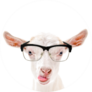 Portrait Of A Goat In Glasses Showing Tongue Sticker