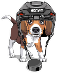 Portrait Of A Puppy Beagle In A Ice Hockey Helmet Sticker
