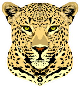 Portrait Of A Spotted Cheetah Sticker