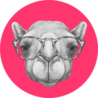 Portrait Of Camel With Glasses Pink Sticker