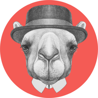 Portrait Of Camel With Hat Orange Sticker