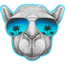 Portrait Of Camel With Mirror Glasses Blue Sticker