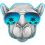 Portrait Of Camel With Mirror Glasses Blue Sticker