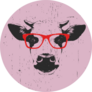 Portrait Of Cow With Glasses On Pink Sticker