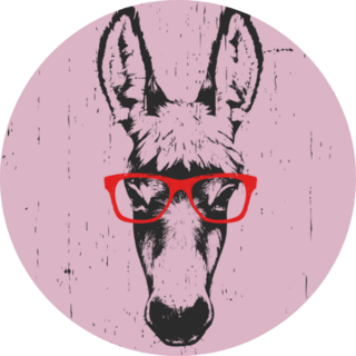 Portrait Of Donkey In Glasses On Pink Sticker