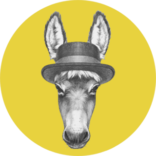 Portrait Of Donkey With Hat On Yellow Sticker