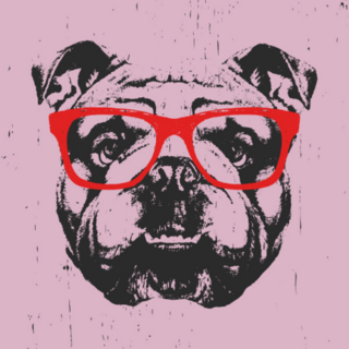 Portrait Of English Bulldog With Glasses Sticker