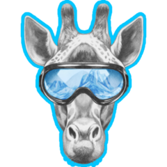 Portrait Of Giraffe With Ski Goggles Sticker