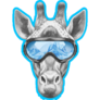 Portrait Of Giraffe With Ski Goggles Sticker